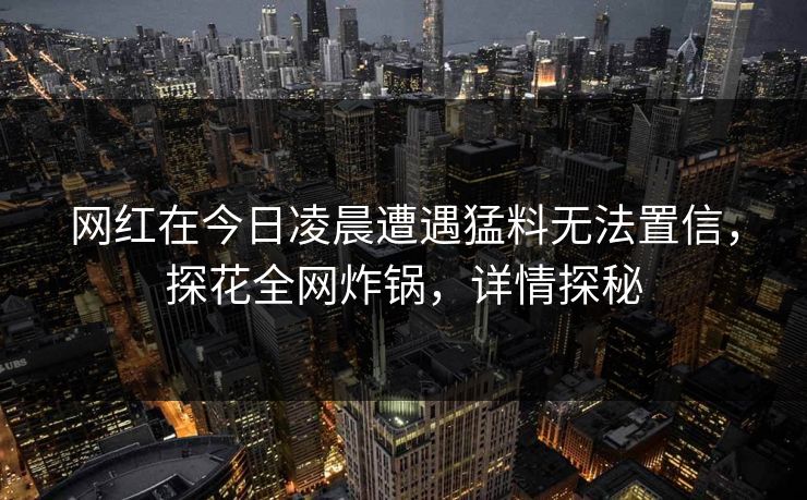 网红在今日凌晨遭遇猛料无法置信，探花全网炸锅，详情探秘