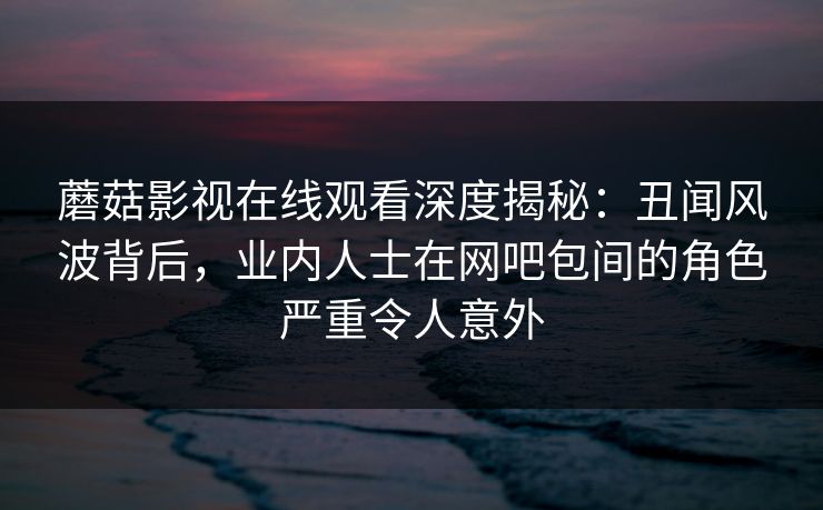 蘑菇影视在线观看深度揭秘：丑闻风波背后，业内人士在网吧包间的角色严重令人意外