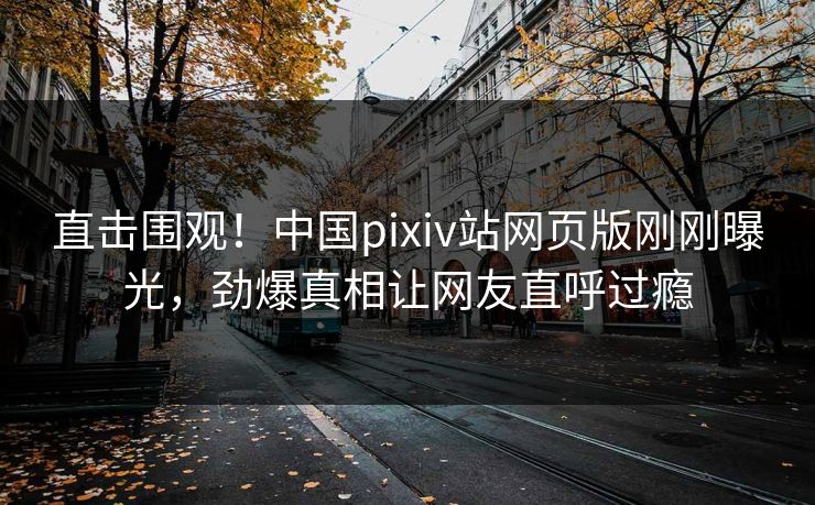 直击围观！中国pixiv站网页版刚刚曝光，劲爆真相让网友直呼过瘾