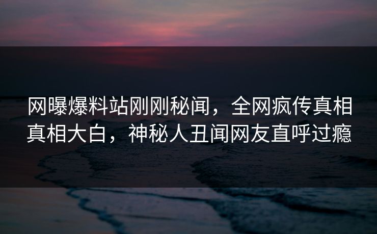 网曝爆料站刚刚秘闻，全网疯传真相真相大白，神秘人丑闻网友直呼过瘾