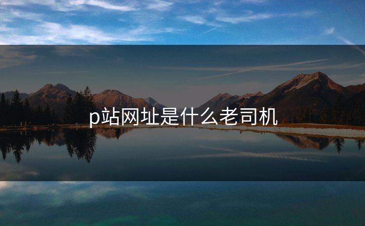 p站网址是什么老司机